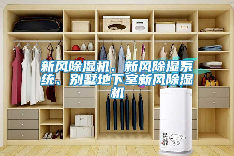 新風榴莲视频官网APP、新風除濕係統、別墅地下室新風榴莲视频官网APP