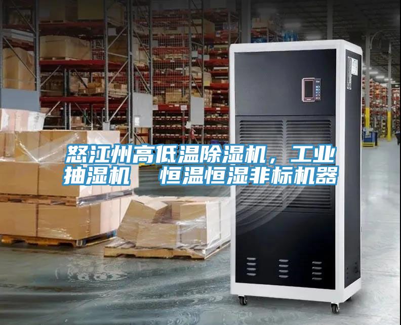 怒江州高低溫榴莲视频官网APP，工業抽濕機  恒溫恒濕非標機器