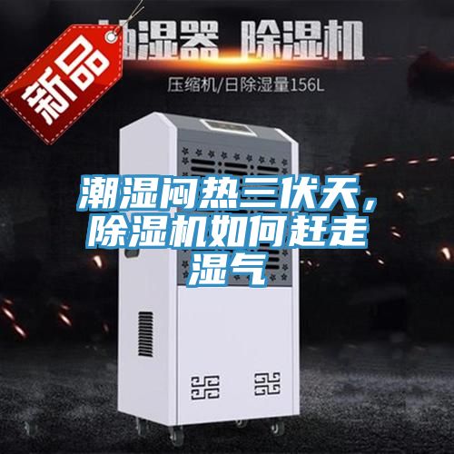 潮濕悶熱三伏天，榴莲视频官网APP如何趕走濕氣