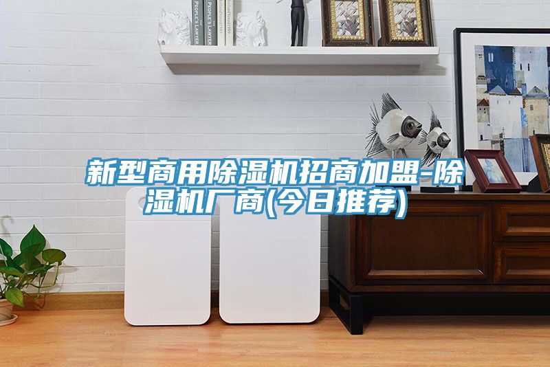 新型商用榴莲视频官网APP招商加盟-榴莲视频官网APP廠商(今日推薦)