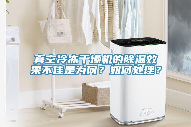 真空冷凍幹燥機的除濕效果不佳是為何？如何處理？
