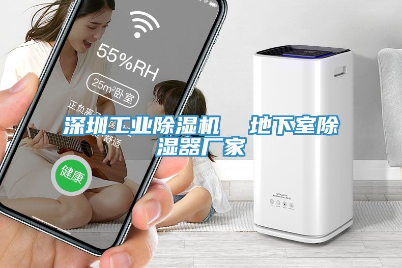 深圳工業榴莲视频官网APP  地下室除濕器廠家
