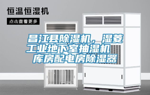 昌江縣榴莲视频官网APP，濕菱工業地下室抽濕機  庫房配電房除濕器
