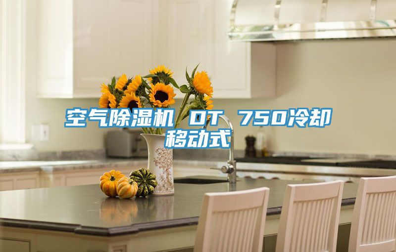 空氣榴莲视频官网APP DT 750冷卻移動式