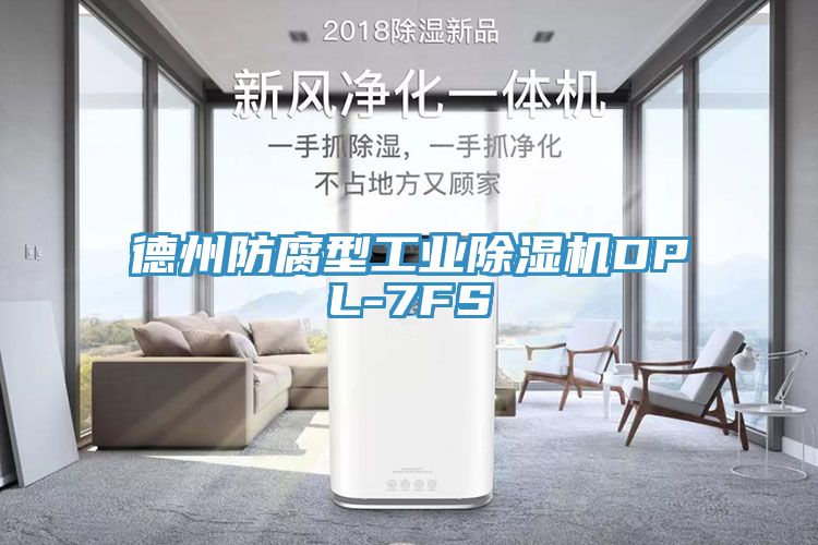 德州防腐型工業榴莲视频官网APPDPL-7FS