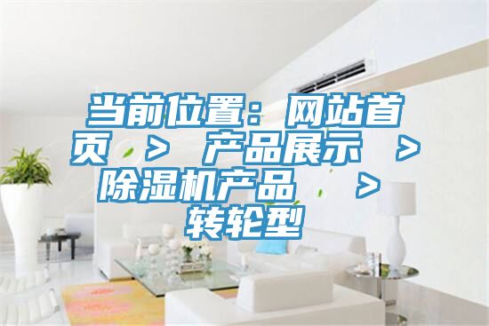 當前位置：網站首頁 ＞ 產品展示 ＞ 榴莲视频官网APP產品  ＞ 轉輪型