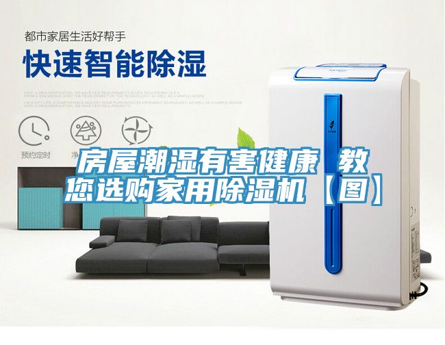 房屋潮濕有害健康 教您選購家用榴莲视频官网APP【圖】