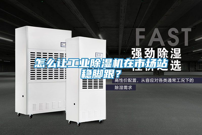 怎麽讓工業榴莲视频官网APP在市場站穩腳跟？