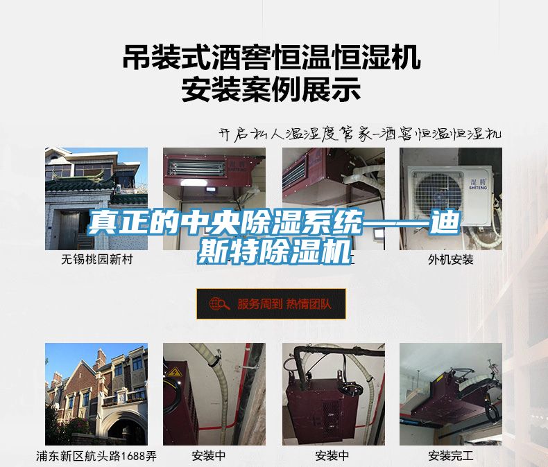 真正的中央除濕係統——迪斯特榴莲视频官网APP