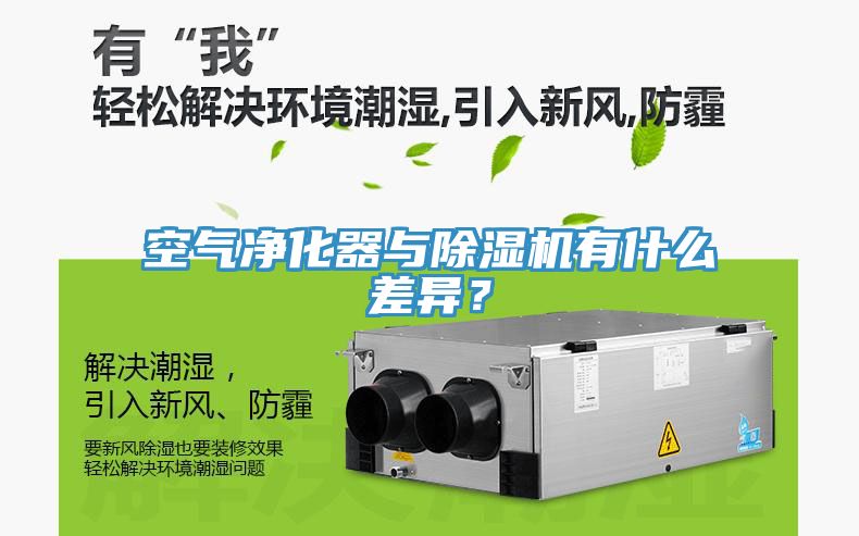空氣淨化器與榴莲视频官网APP有什麽差異？