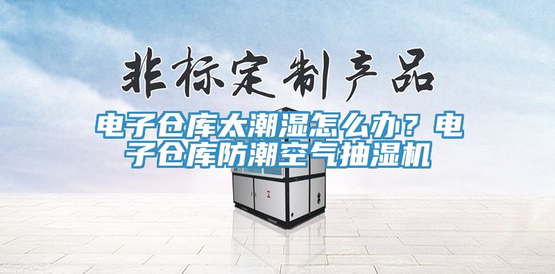電子倉庫太潮濕怎麽辦？電子倉庫防潮空氣抽濕機