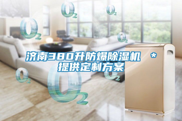 濟南380升防爆榴莲视频官网APP ＊提供定製方案