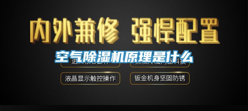 空氣榴莲视频官网APP原理是什麽