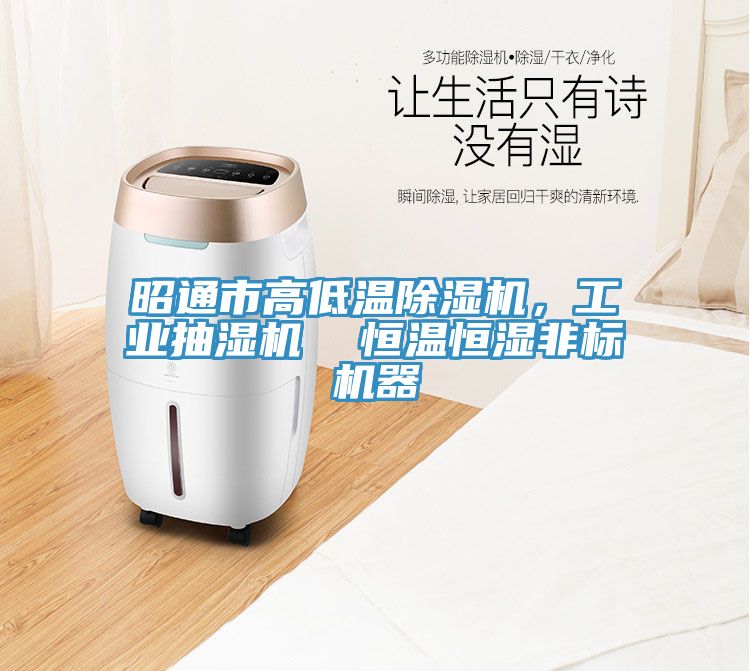 昭通市高低溫榴莲视频官网APP，工業抽濕機  恒溫恒濕非標機器
