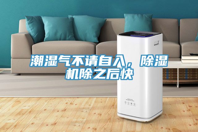 潮濕氣不請自入，榴莲视频官网APP除之後快