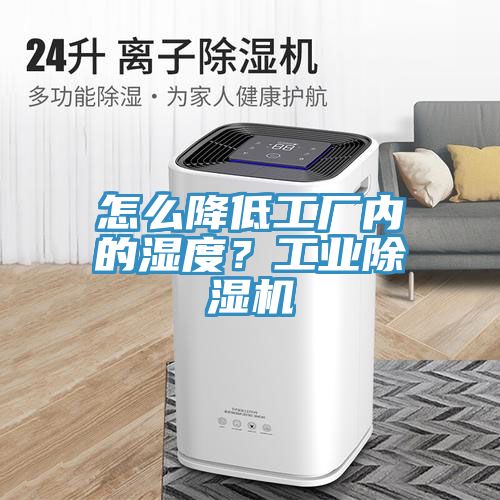 怎麽降低工廠內的濕度？工業榴莲视频官网APP