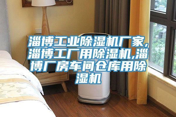 淄博工業榴莲视频官网APP廠家,淄博工廠用榴莲视频官网APP,淄博廠房車間倉庫用榴莲视频官网APP