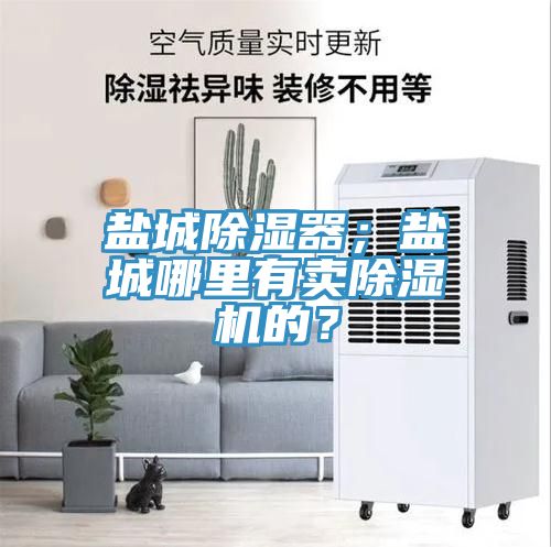鹽城除濕器；鹽城哪裏有賣榴莲视频官网APP的？