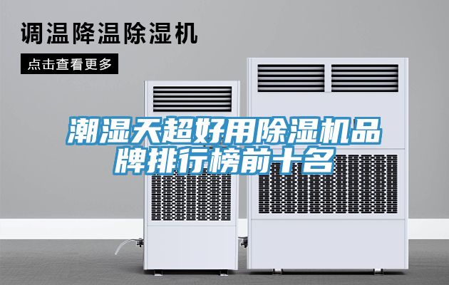 潮濕天超好用榴莲视频官网APP品牌排行榜前十名