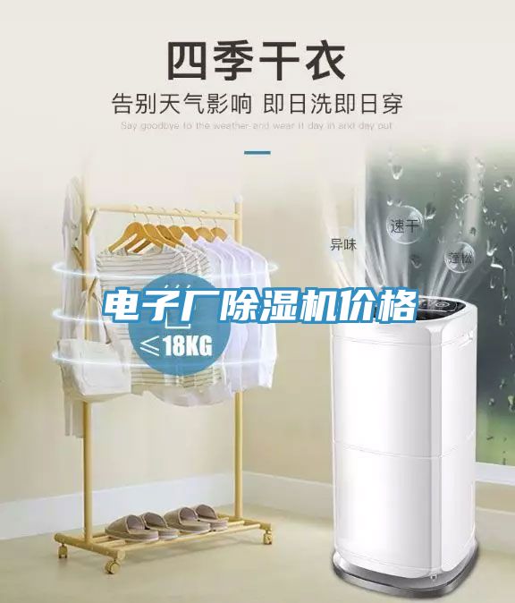 電子廠榴莲视频官网APP價格