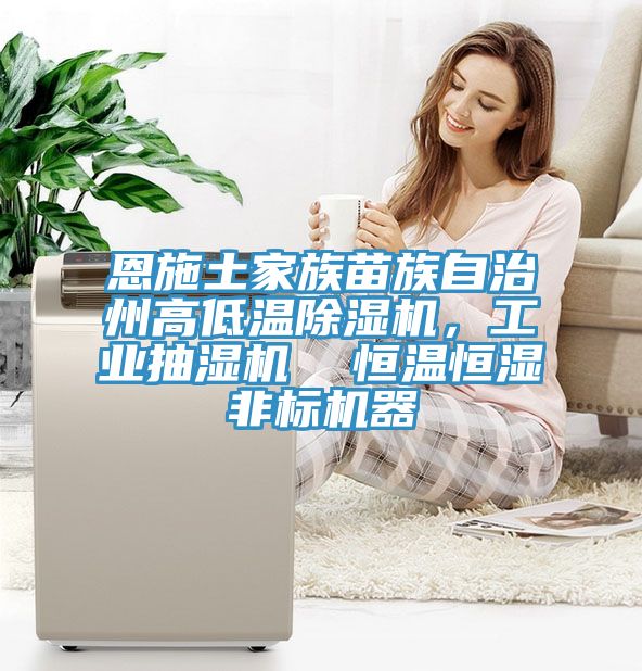 恩施土家族苗族自治州高低溫榴莲视频官网APP，工業抽濕機  恒溫恒濕非標機器