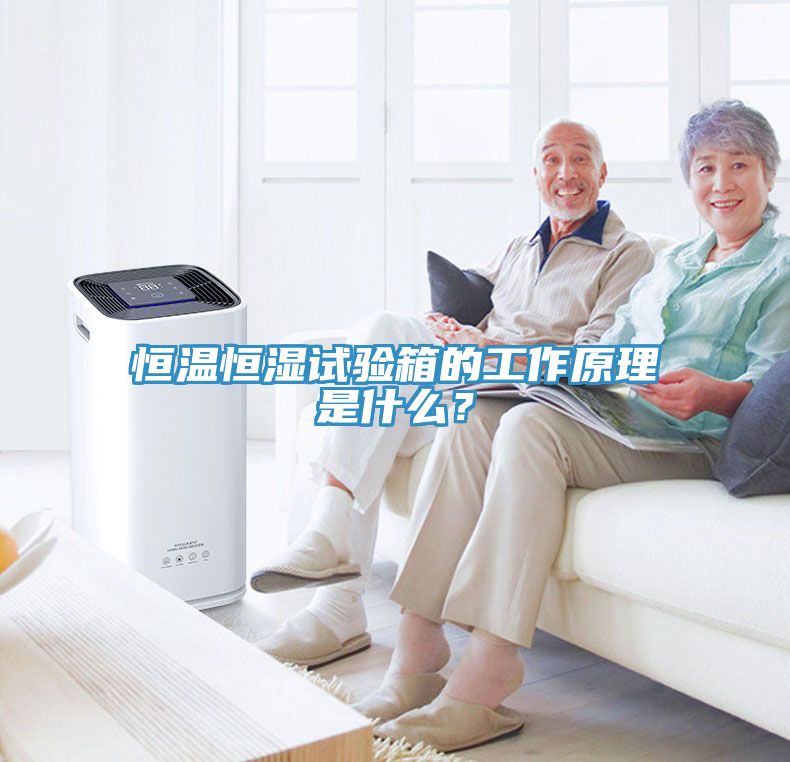 恒溫恒濕試驗箱的工作原理是什麽？