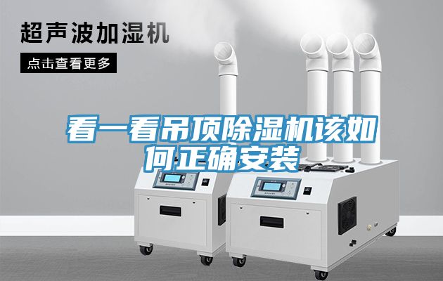 看一看吊頂榴莲视频官网APP該如何正確安裝