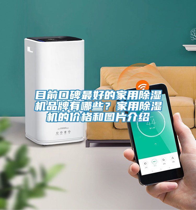 目前口碑最好的家用榴莲视频官网APP品牌有哪些？家用榴莲视频官网APP的價格和圖片介紹