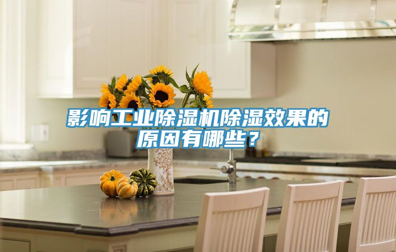 影響工業榴莲视频官网APP除濕效果的原因有哪些？