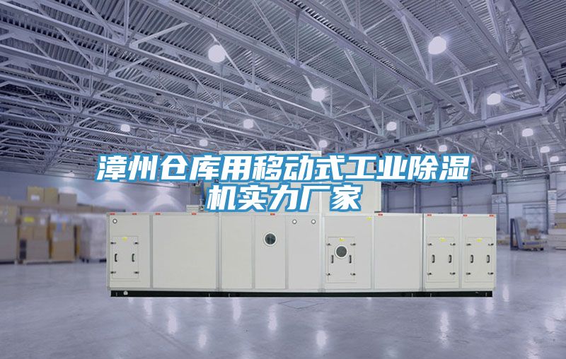 漳州倉庫用移動式工業榴莲视频官网APP實力廠家