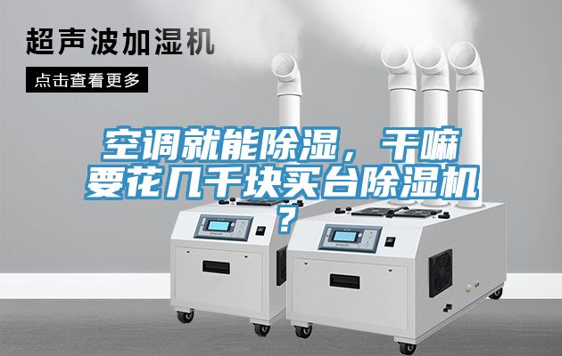 空調就能除濕，幹嘛要花幾千塊買台榴莲视频官网APP？
