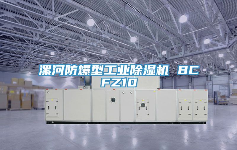 漯河防爆型工業榴莲视频官网APP BCFZ10