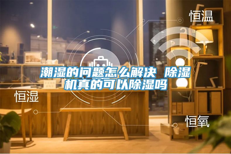 潮濕的問題怎麽解決 榴莲视频官网APP真的可以除濕嗎