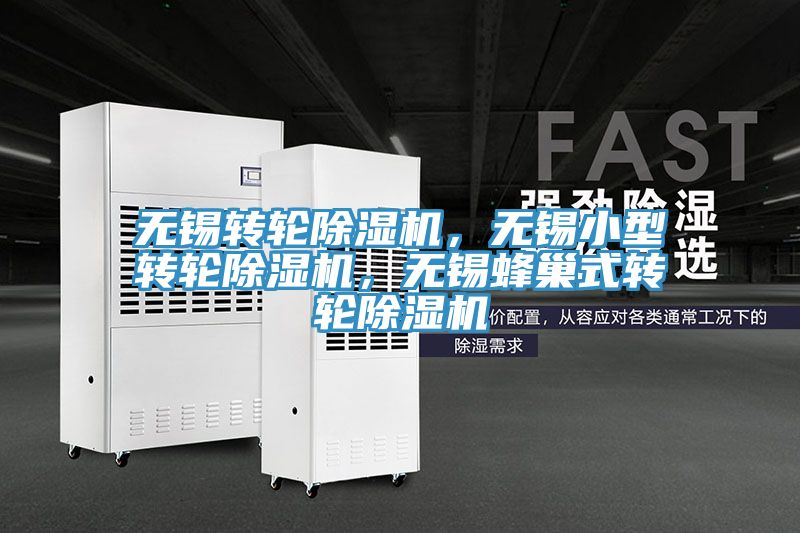 無錫轉輪榴莲视频官网APP，無錫小型轉輪榴莲视频官网APP，無錫蜂巢式轉輪榴莲视频官网APP