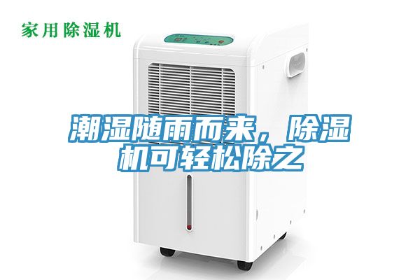 潮濕隨雨而來，榴莲视频官网APP可輕鬆除之