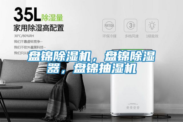 盤錦榴莲视频官网APP，盤錦除濕器，盤錦抽濕機