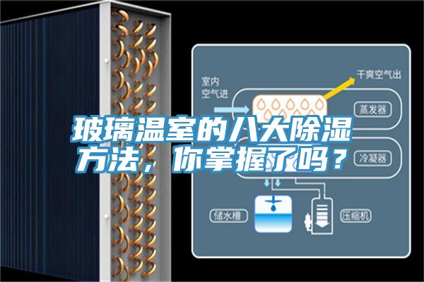 玻璃溫室的八大除濕方法，你掌握了嗎？