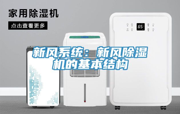 新風係統：新風榴莲视频官网APP的基本結構