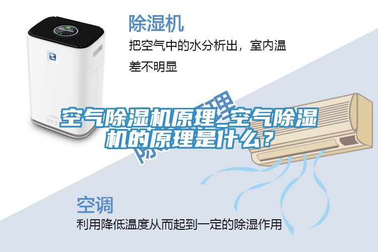 空氣榴莲视频官网APP原理_空氣榴莲视频官网APP的原理是什麽？