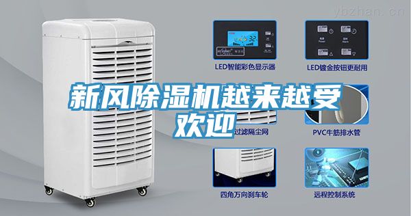 新風榴莲视频官网APP越來越受歡迎