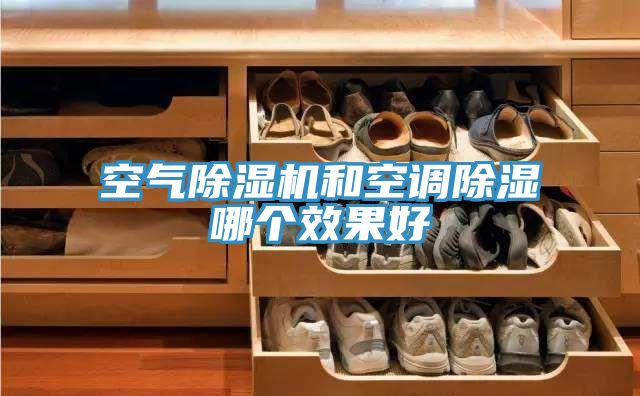 空氣榴莲视频官网APP和空調除濕哪個效果好