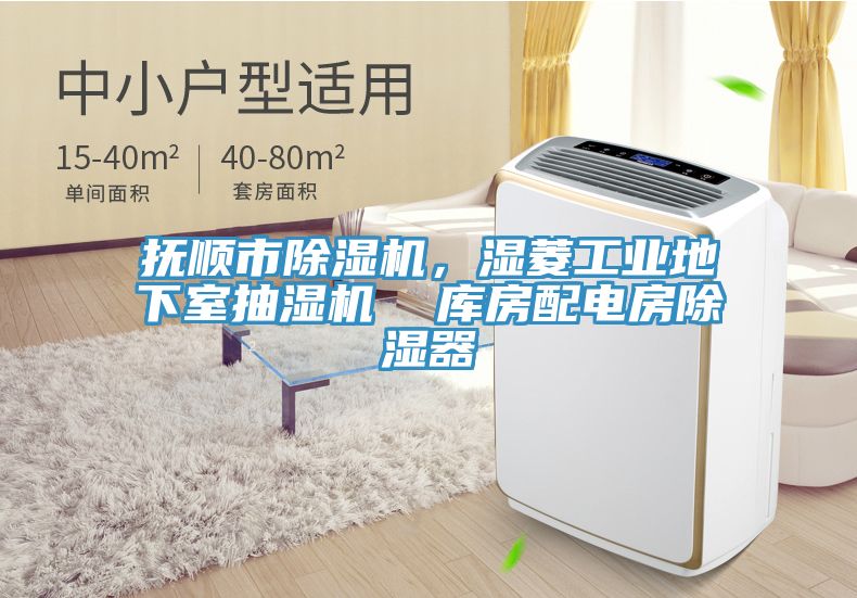 撫順市榴莲视频官网APP，濕菱工業地下室抽濕機  庫房配電房除濕器