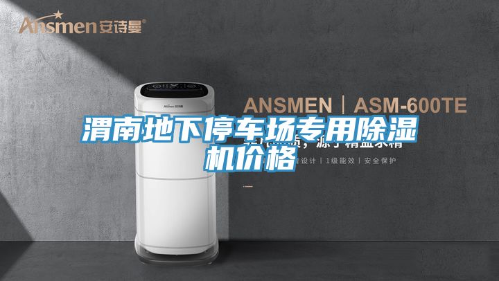 渭南地下停車場專用榴莲视频官网APP價格