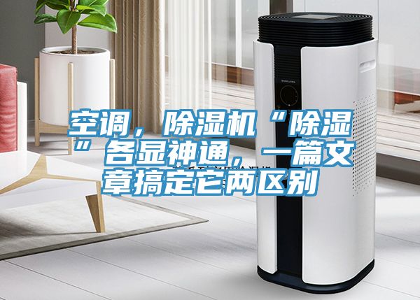 空調，榴莲视频官网APP“除濕”各顯神通，一篇文章搞定它兩區別