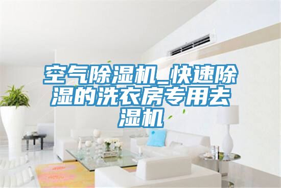 空氣榴莲视频官网APP_快速除濕的洗衣房專用去濕機