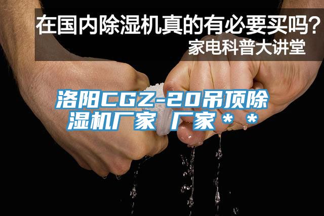 洛陽CGZ-20吊頂榴莲视频官网APP廠家 廠家＊＊