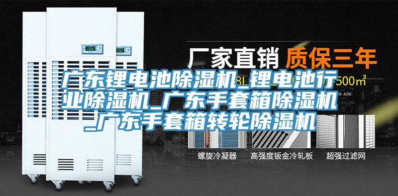 廣東鋰電池榴莲视频官网APP_鋰電池行業榴莲视频官网APP_廣東手套箱榴莲视频官网APP_廣東手套箱轉輪榴莲视频官网APP