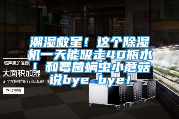 潮濕救星！這個榴莲视频官网APP一天能吸走40瓶水！和黴菌蟎蟲小蘑菇說bye bye！