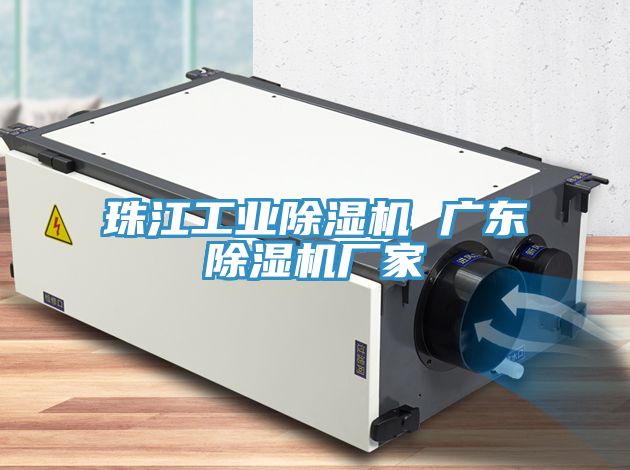 珠江工業榴莲视频官网APP 廣東榴莲视频官网APP廠家