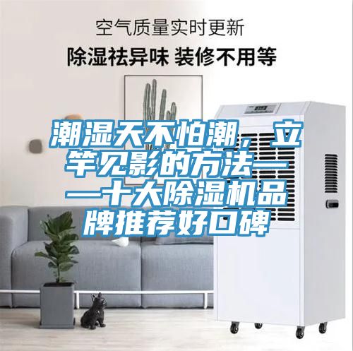 潮濕天不怕潮，立竿見影的方法——十大榴莲视频官网APP品牌推薦好口碑